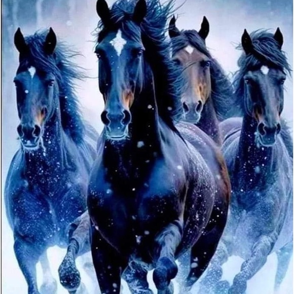 Meet your Posher, Victoria - Picture 3 of 13